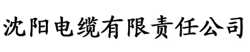 大菠萝视频污电缆厂logo